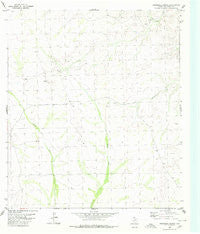 Roundhill Ranch Texas Historical topographic map, 1:24000 scale, 7.5 X 7.5 Minute, Year 1980