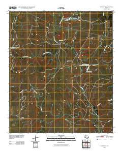Rowden NW Texas Historical topographic map, 1:24000 scale, 7.5 X 7.5 Minute, Year 2010