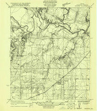 Rowena Texas Historical topographic map, 1:31680 scale, 7.5 X 7.5 Minute, Year 1921