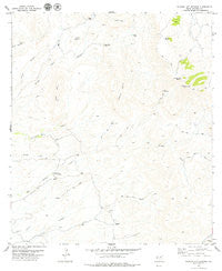 Ruidosa Hot Springs Texas Historical topographic map, 1:24000 scale, 7.5 X 7.5 Minute, Year 1979