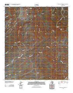 Ruidosa Hot Springs Texas Historical topographic map, 1:24000 scale, 7.5 X 7.5 Minute, Year 2010
