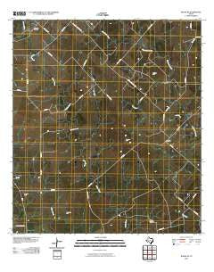 Runge SE Texas Historical topographic map, 1:24000 scale, 7.5 X 7.5 Minute, Year 2010