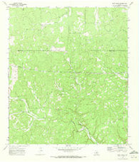 Rust Ranch Texas Historical topographic map, 1:24000 scale, 7.5 X 7.5 Minute, Year 1970
