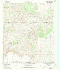 Rustler Camp Texas Historical topographic map, 1:24000 scale, 7.5 X 7.5 Minute, Year 1968