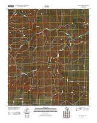 Rustler Camp Texas Historical topographic map, 1:24000 scale, 7.5 X 7.5 Minute, Year 2010