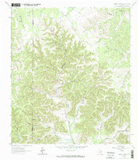 Sabinal Canyon Texas Historical topographic map, 1:24000 scale, 7.5 X 7.5 Minute, Year 1964