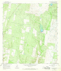 Sagunada Ranch Texas Historical topographic map, 1:24000 scale, 7.5 X 7.5 Minute, Year 1965