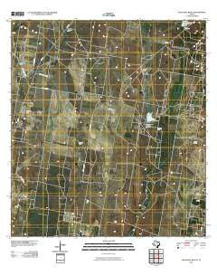 Sagunada Ranch Texas Historical topographic map, 1:24000 scale, 7.5 X 7.5 Minute, Year 2010