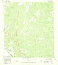 Salineno Texas Historical topographic map, 1:24000 scale, 7.5 X 7.5 Minute, Year 1965
