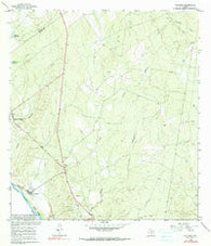 Salineno Texas Historical topographic map, 1:24000 scale, 7.5 X 7.5 Minute, Year 1965
