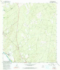 Salineno Texas Historical topographic map, 1:24000 scale, 7.5 X 7.5 Minute, Year 1965