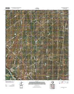 Salineno Texas Historical topographic map, 1:24000 scale, 7.5 X 7.5 Minute, Year 2012