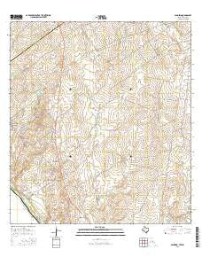 Salineno Texas Current topographic map, 1:24000 scale, 7.5 X 7.5 Minute, Year 2016