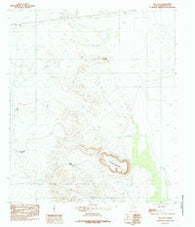 Salt Flat Texas Historical topographic map, 1:24000 scale, 7.5 X 7.5 Minute, Year 1984