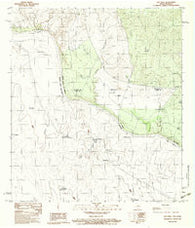 Salt Well Texas Historical topographic map, 1:24000 scale, 7.5 X 7.5 Minute, Year 1983