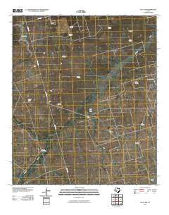 Salt Lake Texas Historical topographic map, 1:24000 scale, 7.5 X 7.5 Minute, Year 2010