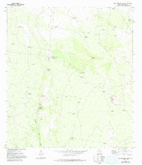 San Antonio Viejo Texas Historical topographic map, 1:24000 scale, 7.5 X 7.5 Minute, Year 1972