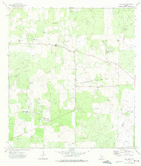 San Isidro Texas Historical topographic map, 1:24000 scale, 7.5 X 7.5 Minute, Year 1972