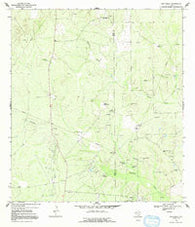San Pablo Texas Historical topographic map, 1:24000 scale, 7.5 X 7.5 Minute, Year 1968