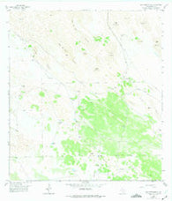 San Pedro Ranch Texas Historical topographic map, 1:24000 scale, 7.5 X 7.5 Minute, Year 1956