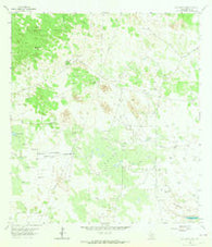 San Tomas Camp Texas Historical topographic map, 1:24000 scale, 7.5 X 7.5 Minute, Year 1963