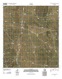 San Antonio Viejo Texas Historical topographic map, 1:24000 scale, 7.5 X 7.5 Minute, Year 2010