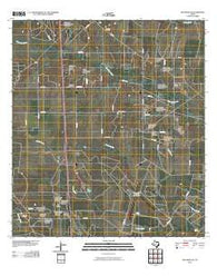 San Diego NE Texas Historical topographic map, 1:24000 scale, 7.5 X 7.5 Minute, Year 2010