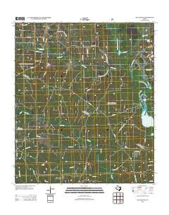 San Jacinto Texas Historical topographic map, 1:24000 scale, 7.5 X 7.5 Minute, Year 2013