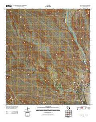 San Vicente Texas Historical topographic map, 1:24000 scale, 7.5 X 7.5 Minute, Year 2010