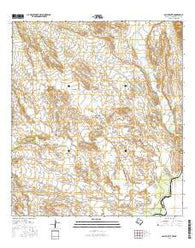 San Vicente Texas Current topographic map, 1:24000 scale, 7.5 X 7.5 Minute, Year 2016