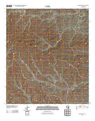 Sanderson NE Texas Historical topographic map, 1:24000 scale, 7.5 X 7.5 Minute, Year 2010
