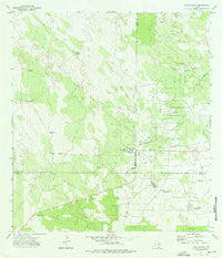 Santa Elena Texas Historical topographic map, 1:24000 scale, 7.5 X 7.5 Minute, Year 1972