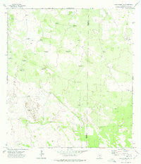 Santa Elena NW Texas Historical topographic map, 1:24000 scale, 7.5 X 7.5 Minute, Year 1972
