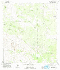 Santa Elena NW Texas Historical topographic map, 1:24000 scale, 7.5 X 7.5 Minute, Year 1972