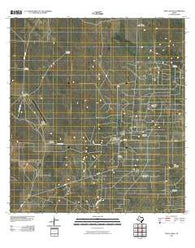 Santa Elena Texas Historical topographic map, 1:24000 scale, 7.5 X 7.5 Minute, Year 2010