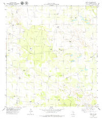 Sarita SW Texas Historical topographic map, 1:24000 scale, 7.5 X 7.5 Minute, Year 1979