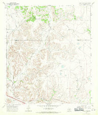 Savell Ranch Texas Historical topographic map, 1:24000 scale, 7.5 X 7.5 Minute, Year 1967