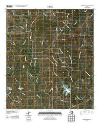 Sawmill Branch Texas Historical topographic map, 1:24000 scale, 7.5 X 7.5 Minute, Year 2010
