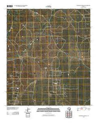 Schneeman Draw NE Texas Historical topographic map, 1:24000 scale, 7.5 X 7.5 Minute, Year 2010