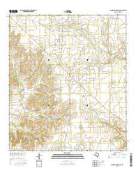 Schneeman Draw SE Texas Current topographic map, 1:24000 scale, 7.5 X 7.5 Minute, Year 2016