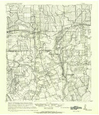 Schulenburg Texas Historical topographic map, 1:62500 scale, 15 X 15 Minute, Year 1919