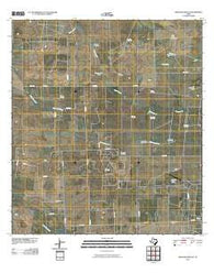Seeligson Ranch Texas Historical topographic map, 1:24000 scale, 7.5 X 7.5 Minute, Year 2010