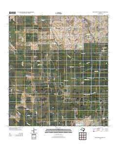 Seeligson Ranch Texas Historical topographic map, 1:24000 scale, 7.5 X 7.5 Minute, Year 2013