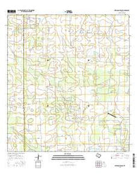 Seeligson Ranch Texas Current topographic map, 1:24000 scale, 7.5 X 7.5 Minute, Year 2016