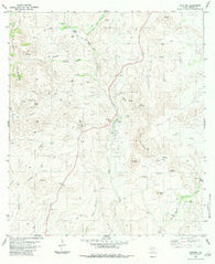 Shafter Texas Historical topographic map, 1:24000 scale, 7.5 X 7.5 Minute, Year 1983