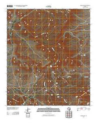 Sheep Peak Texas Historical topographic map, 1:24000 scale, 7.5 X 7.5 Minute, Year 2010