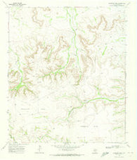 Sherbino Mesa Texas Historical topographic map, 1:24000 scale, 7.5 X 7.5 Minute, Year 1969