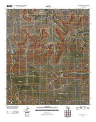 Sherbino Mesa Texas Historical topographic map, 1:24000 scale, 7.5 X 7.5 Minute, Year 2010