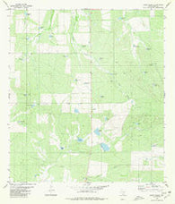 Shipp Ranch Texas Historical topographic map, 1:24000 scale, 7.5 X 7.5 Minute, Year 1980