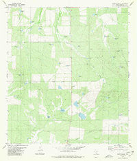 Shipp Ranch Texas Historical topographic map, 1:24000 scale, 7.5 X 7.5 Minute, Year 1980